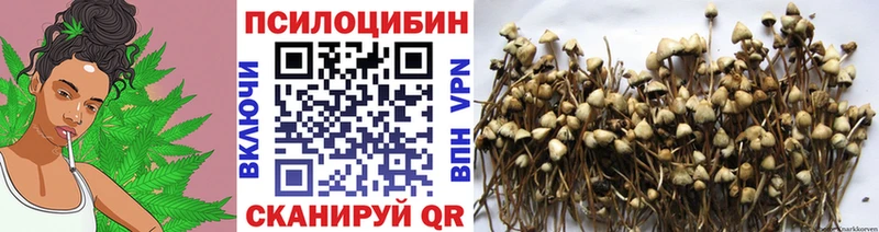 Псилоцибиновые грибы прущие грибы  Вилючинск 